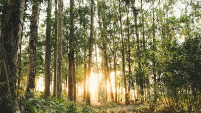 Ünlü dizi oyuncusu, sosyal medyada yarattığı etkileyici paylaşımıyla büyük bir