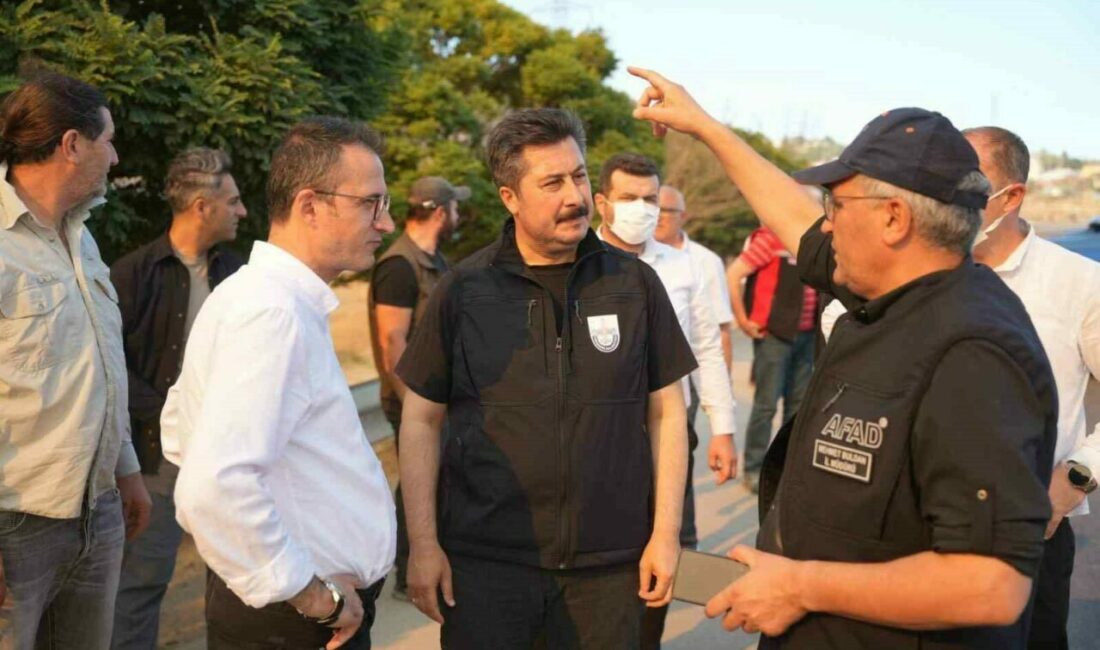 100 hektarlık alan küle döndü Bursa’nın Yenişehir ilçesi Marmaracık Mahallesinde çıkan yangında 100 hektarlık alan