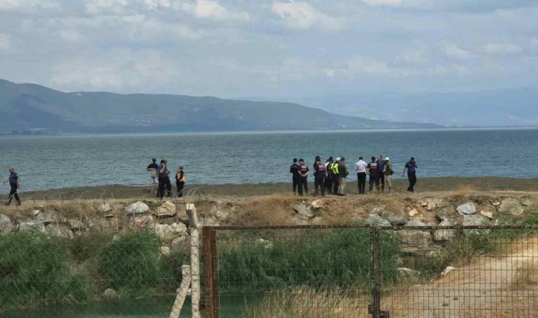 Bursa’nın Orhangazi ilçesi İznik Gölü sahilinde serinlemek için suya giren