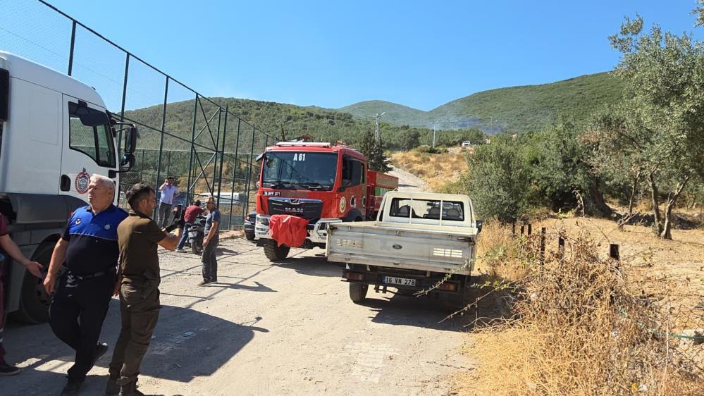 Bursa'nın Orhangazi ilçesinin yüksek kesimlerinde bulunan makilik alanda öğle saatlerinde