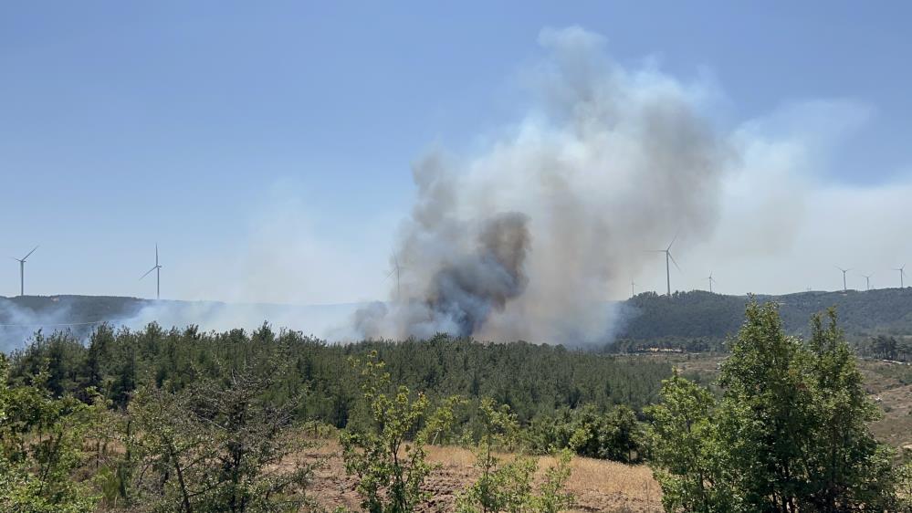 Çanakkale'nin Merkez ilçesine bağlı Denizgöründü köyü yakınlarında çıkan orman yangınına