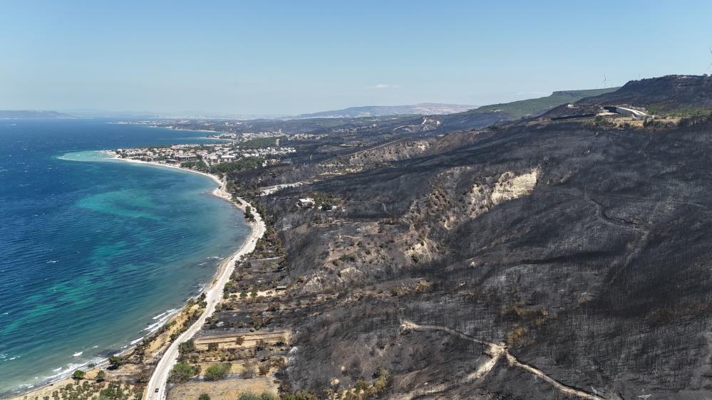 Çanakkale'nin Kepez beldesinde tarım arazisinde başlayarak ormanlık alana sıçrayan yangın