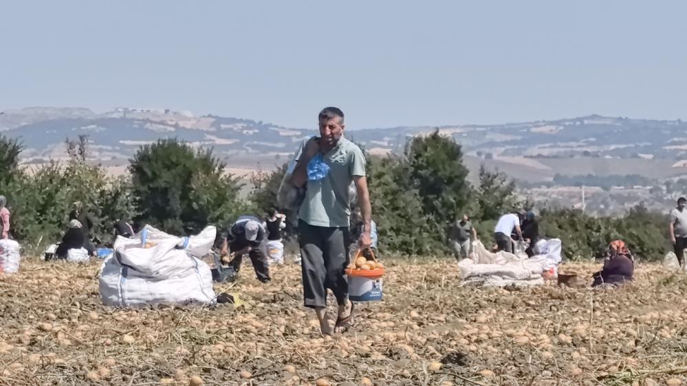 Bursa’nın İnegöl ilçesinde bir çiftçi, patates tarlasındaki ürünleri vatandaşlara ücretsiz