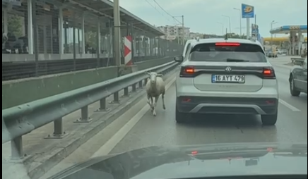 Bursa trafiğinde bir bu eksikti Bursa'da trafik akışının en yoğun olduğu Ankara-İzmir karayolu üzerinde bir