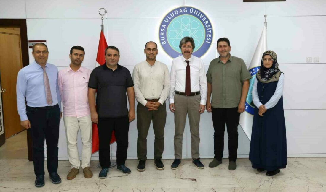 İslam iktisadı ve finans alanında araştırma, eğitim ve uygulama faaliyetleri