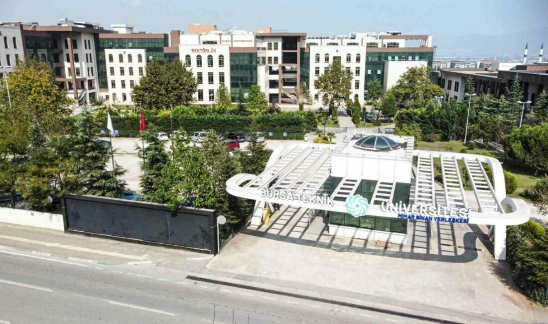 Ölçme, Seçme ve Yerleştirme Merkezi (ÖSYM) tarafından paylaşılan verilere göre,