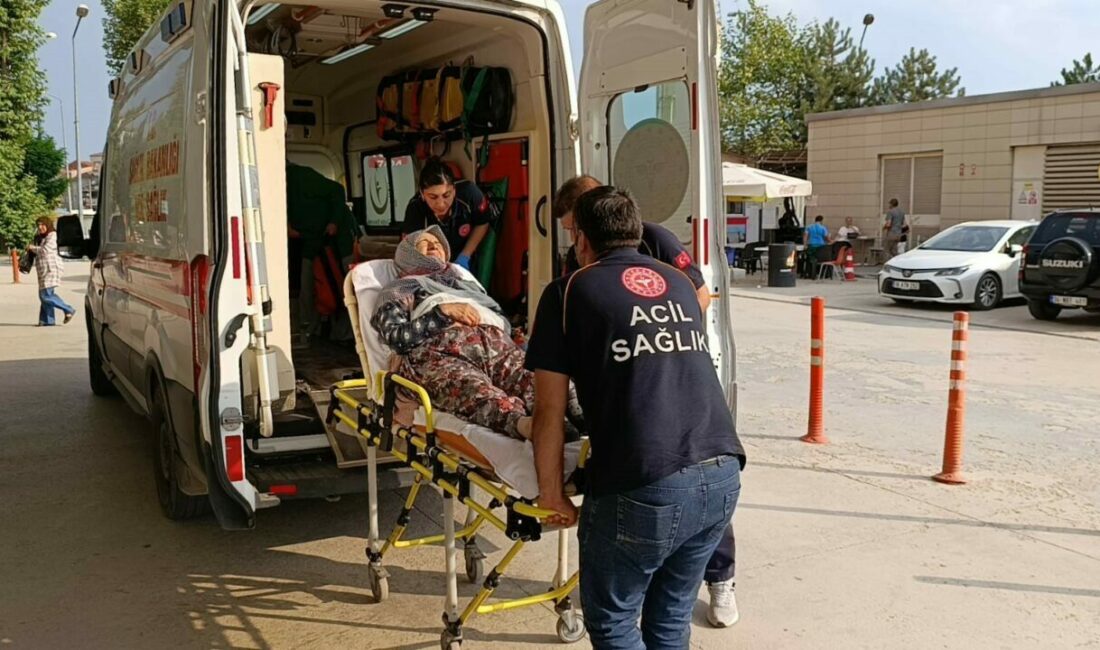 Bursa’nın İnegöl ilçesinde kamyona arkadan çarpan otomobildeki 4 kişi yaralandı.
