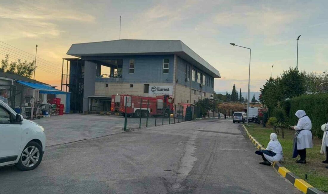 Gemlik Serbest Bölge’de faaliyet gösteren bir işletmenin yemekhanesinde yangın çıktı.