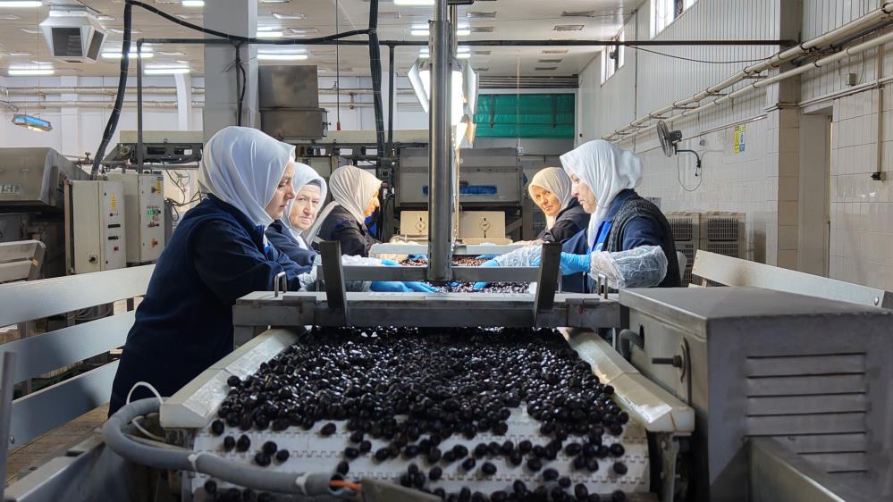 Marmarabirlik Yönetim Kurulu Başkanı Ali Yıldız, kozmetik sektörüne girdiklerini, ayrıca