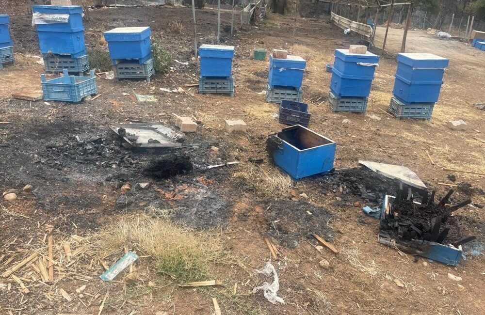 Bursa'da çıkan orman yangınlarında zarar gören arıcılara, Büyükşehir Belediyesi tarafından
