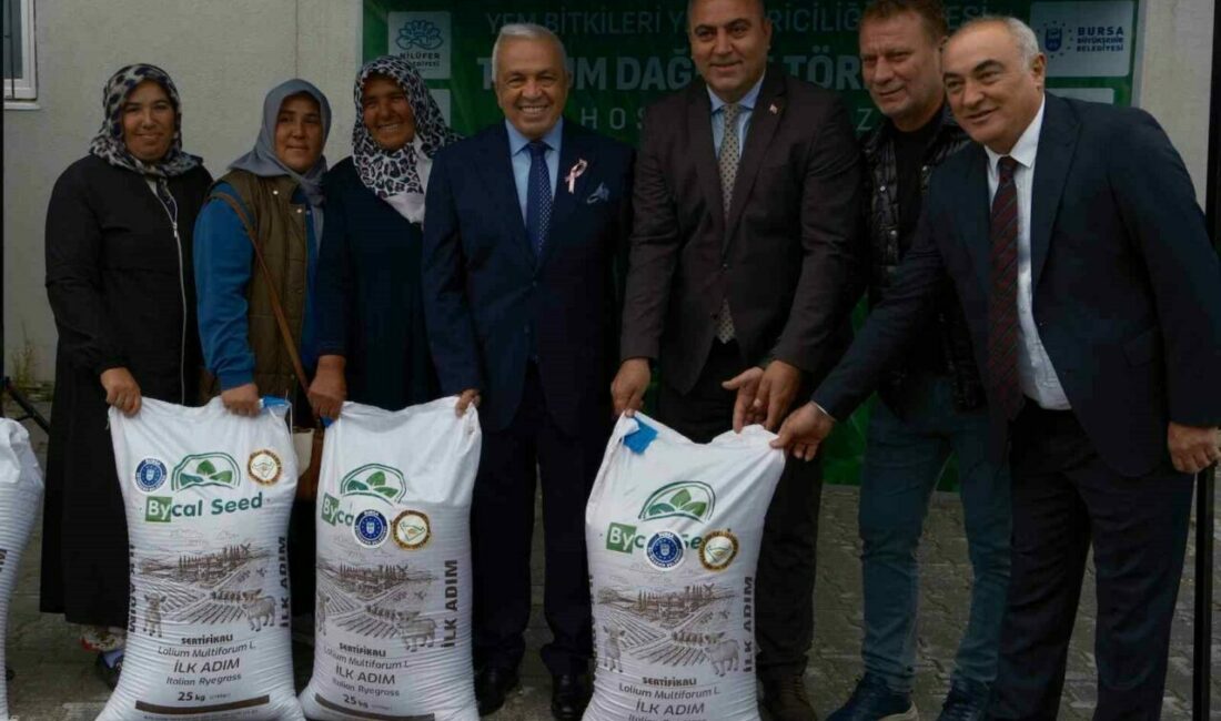 Bursa’nın Nilüfer ilçesinde hayvancılığı desteklemek amacıyla 300 çiftçiye İtalyan çimi