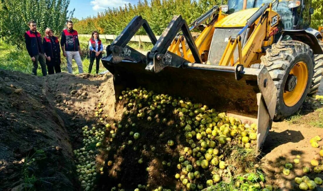Bursa İl Tarım ve Orman Müdürlüğü denetim ekipleri tarafından rutin