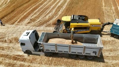 Türkiye Ürün İhtisas Borsası (TÜRİB) Elektronik Ürün Senedi (ELÜS) piyasasında