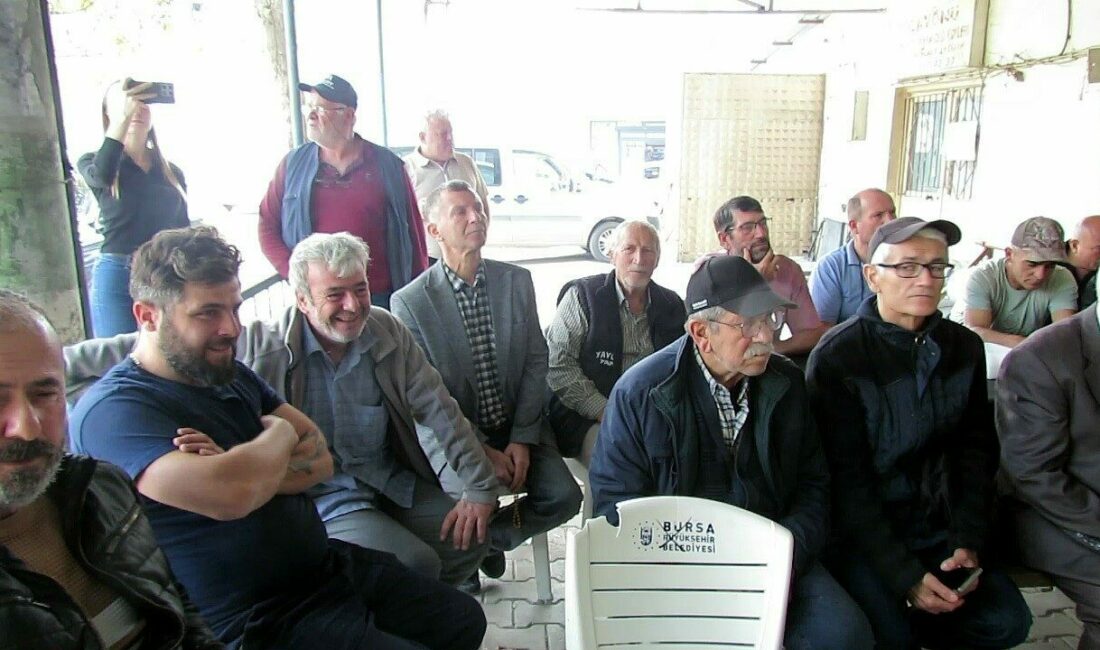 Mudanya Belediyesi’nin meclis kararı ile köy mülklerinin satışı konusunda kararı