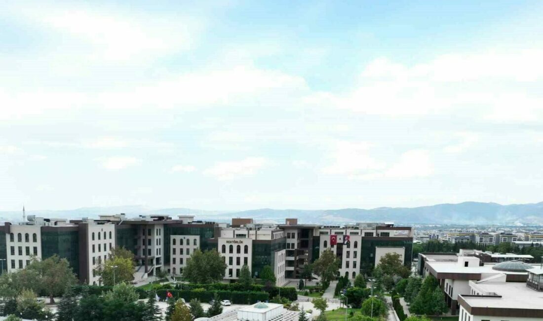 Mavi ekonomiye katkı sunacak proje Bursa Teknik Üniversitesi (BTÜ), Karadeniz Ekonomik İşbirliği ülkelerinin limanlarını sürdürülebilirlik