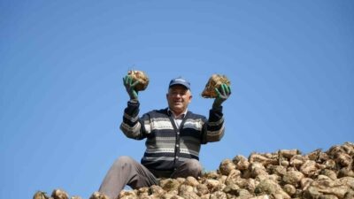 Bu yıl pancar üretimindeki düşüşe rağmen mevcut stoklar dolayısıyla şeker