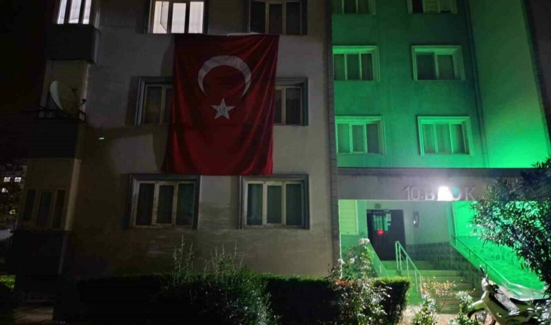 Türk Silahlı Kuvvetleri’ne ait C-130 tipi askeri kargo uçağının Gürcistan-Azerbaycan