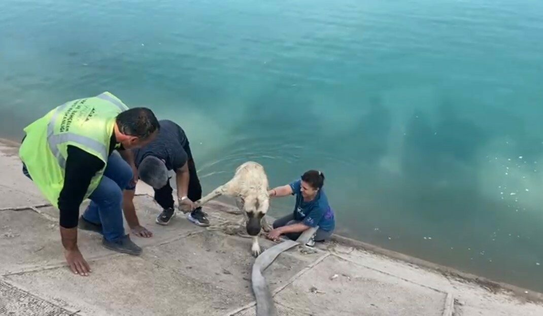 Güneydoğu turuna çıkan Bursalı Dilaver ailesi Şanlıurfa-Mardin arasında yolu şaşırınca