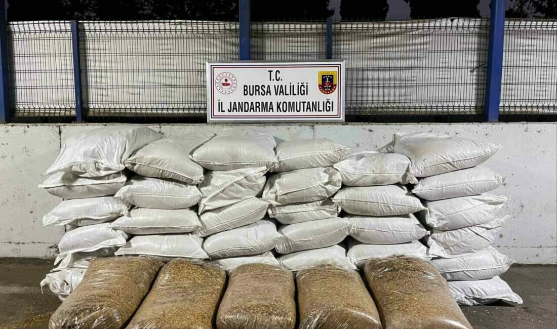Bursa İl Jandarma Komutanlığı, kaçak sigara ve tütün mamulleri ticareti