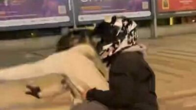 Bursa’nın İnegöl ilçesinde seyir halindeyken motosikletin önünü kaldırmak isteyen sürücü