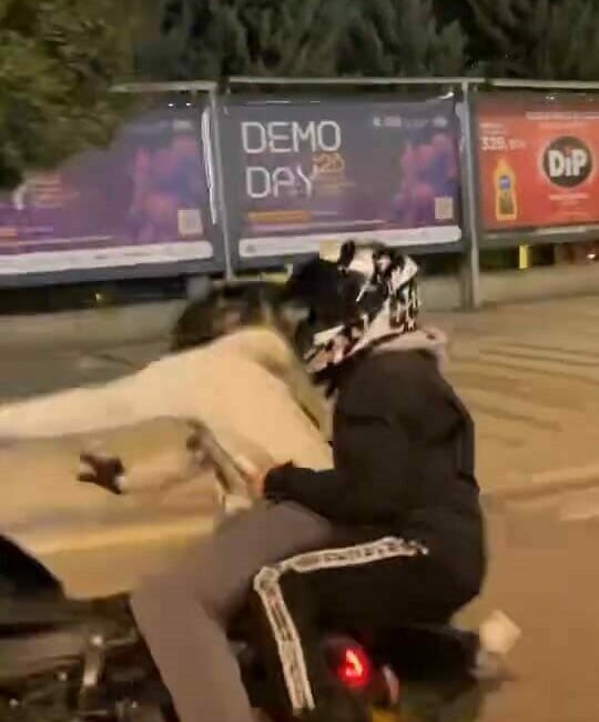Bursa’nın İnegöl ilçesinde seyir halindeyken motosikletin önünü kaldırmak isteyen sürücü