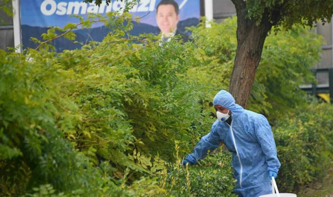 Osmangazi Belediyesi, halk sağlığını tehdit eden kemirgenlerle mücadele kapsamında ilçe