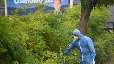 Osmangazi Belediyesi, halk sağlığını tehdit eden kemirgenlerle mücadele kapsamında ilçe