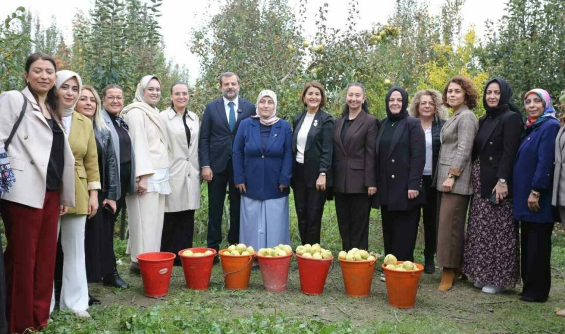 Topuklu ayakkabılı iş kadınlarıyla şalvarlı köylü kadınları aynı tarlada aynı