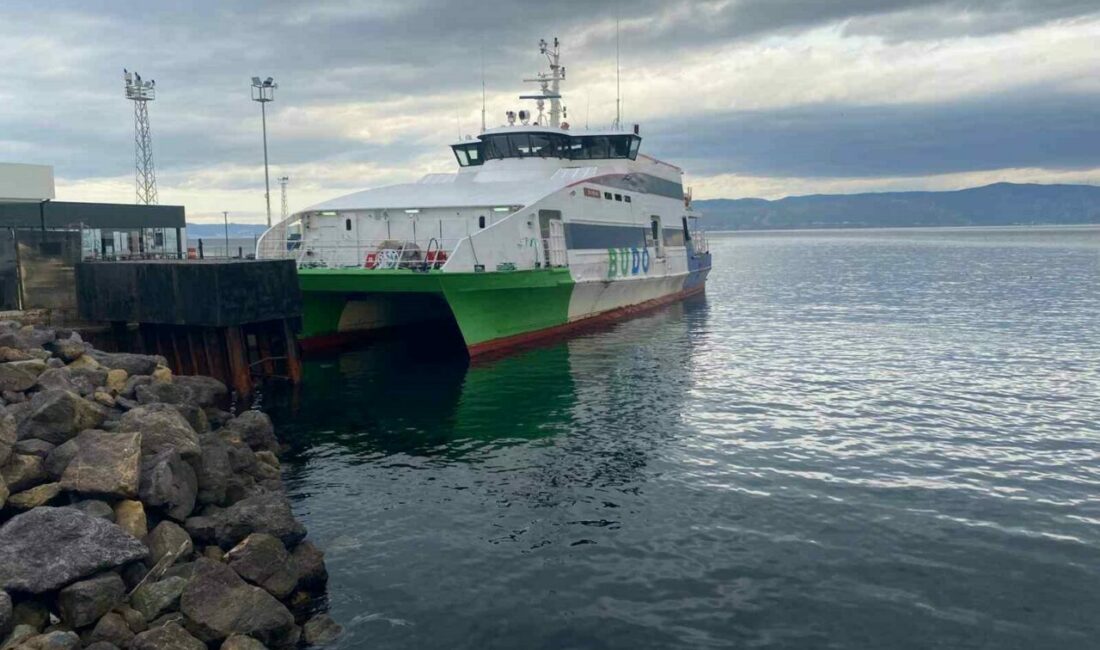 Bursa Deniz Otobüsleri’nin (BUDO) resmi internet sitesinde yer alan duyuruya