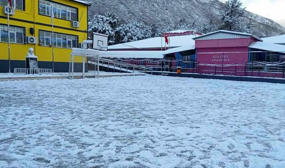 Bursa’da etkisini artıran kar yağışı günlük hayatı olumsuz etkilerken, okullarda
