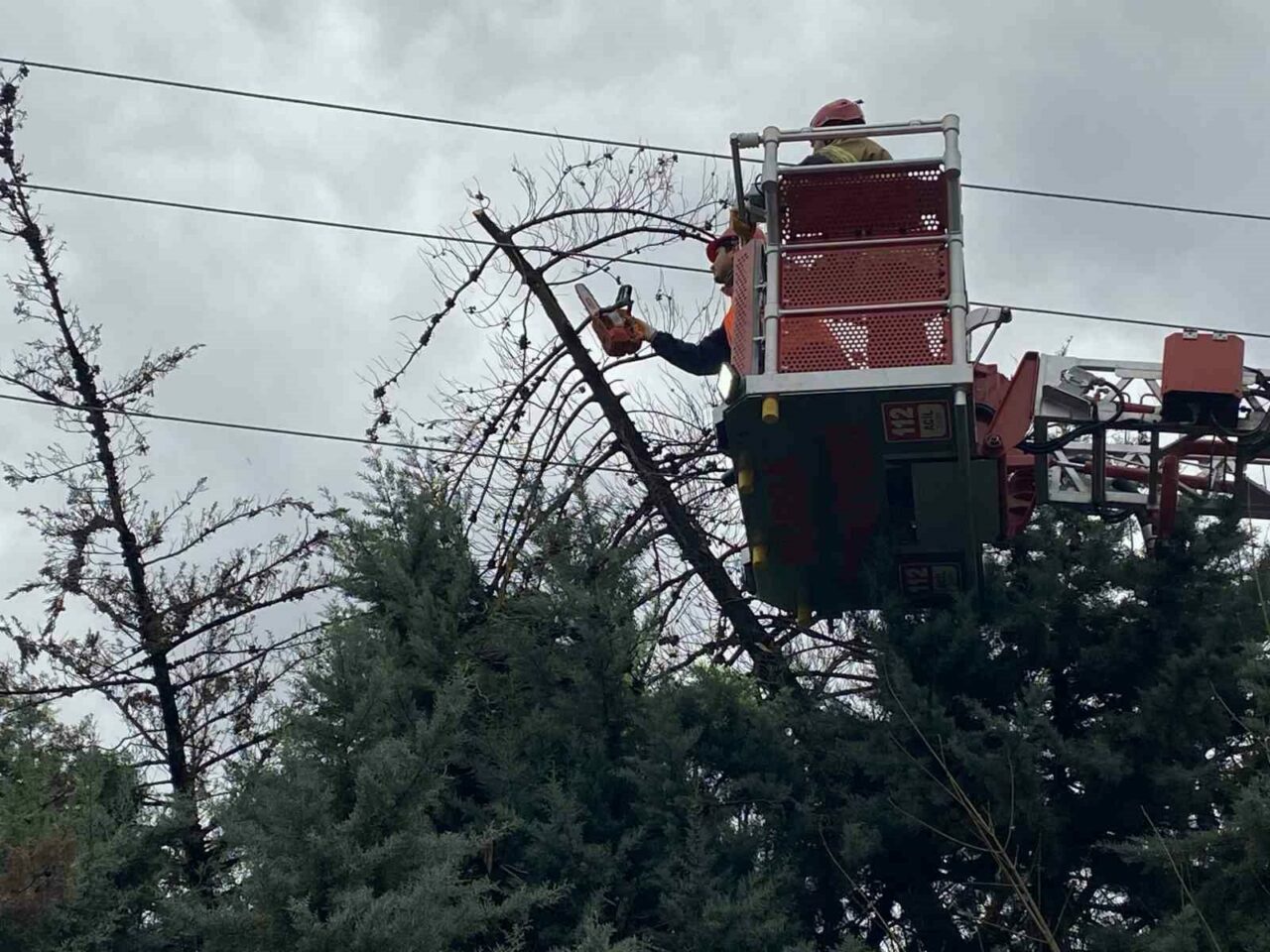 Bursa’nın Mudanya ilçesinde etkili olan şiddetli lodos nedeniyle bir ağaç