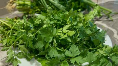 Havaların soğumasıyla grip vakalarında artış yaşanırken, düzenli ve sağlıklı beslenmek,