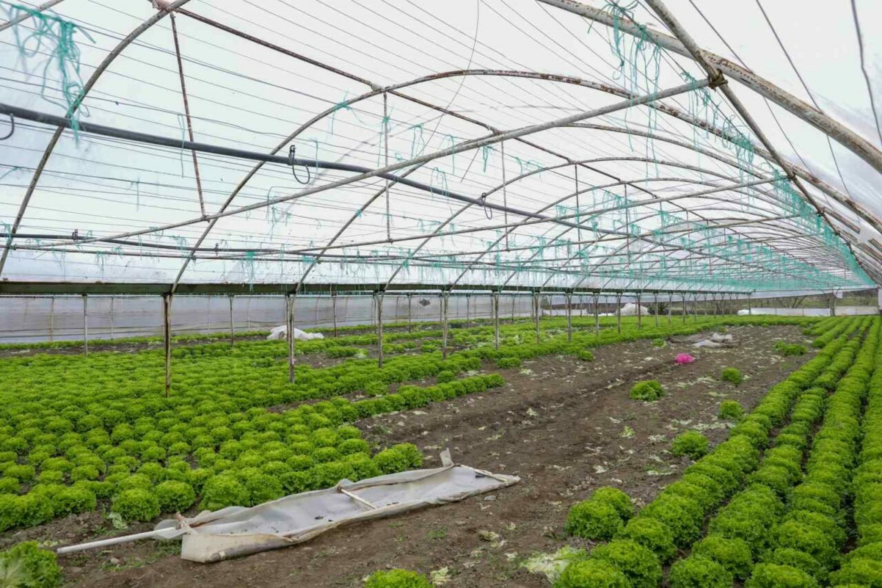 Bursa Büyükşehir Belediyesi, afetlerden olumsuz etkilenen çiftçilere yönelik desteklerini sürdürüyor.